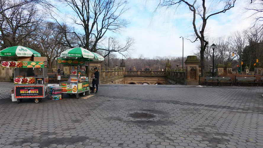 NYC_2020-01-26 09-15-22_P1070526